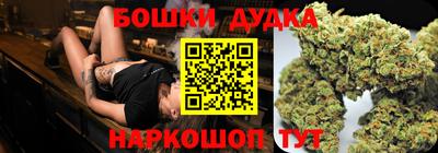 крисы Лесосибирск