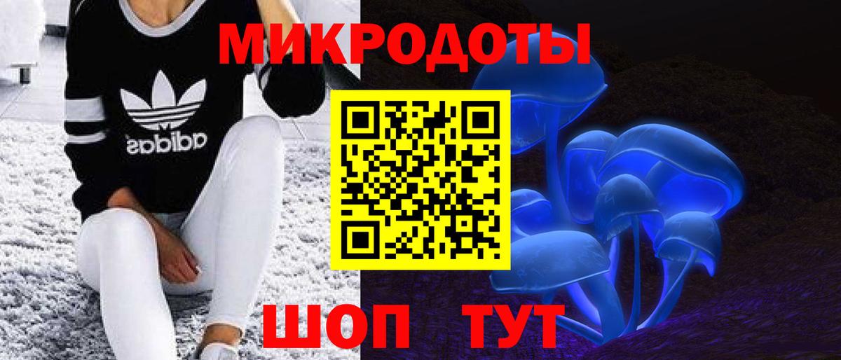 Владивосток  где купить наркоту  Вход с VPN  Галлюциногенные грибы мухоморы 